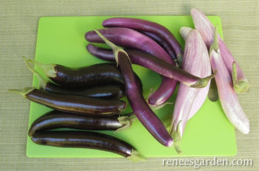 Eggplant Asian Trio