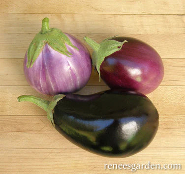 Eggplant Italian Trio