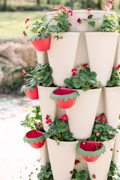 GreenStalk Berry Cup (Set of 6)