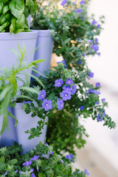 GreenStalk 3 Tier Original Lilac