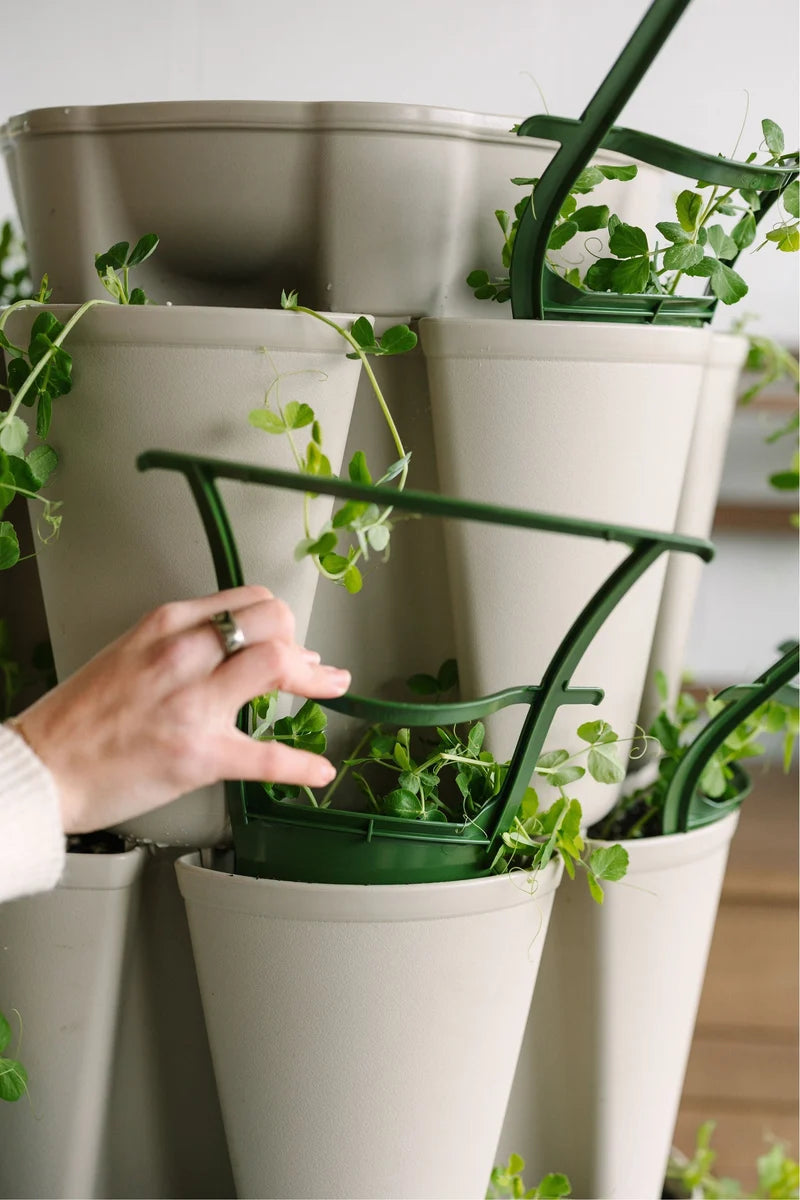 GreenStalk Trellises (set of 3)