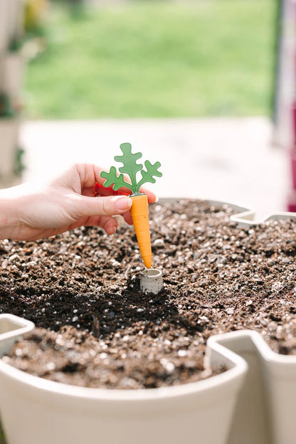 GreenStalk Carrot Cap (set of 4)