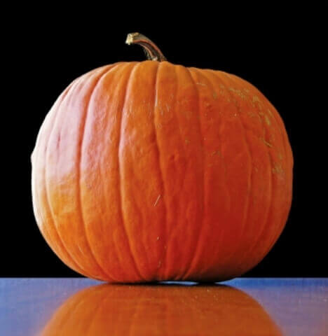 Pumpkin Howden OSC Seed