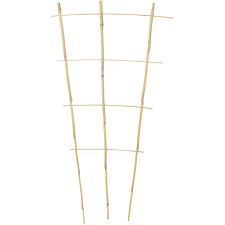 Bamboo Trellis 18"