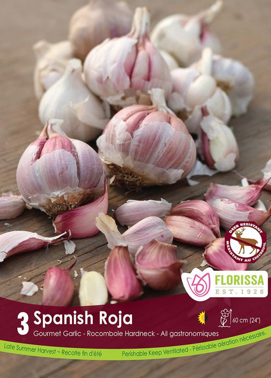 Garlic Spanish Roja Hardneck 3pk