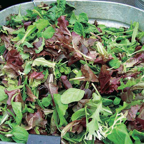 12 Days of Growing - A Gardener's Gift