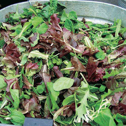 12 Days of Growing - A Gardener's Gift