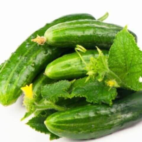 Cucumber Marketmore Organic OSC Seed