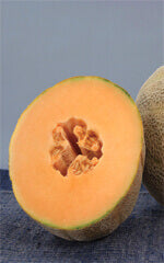 Cantaloupe Earlichamp OSC Seed