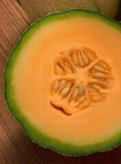 Cantaloupe Heart of Gold Organic OSC Seed