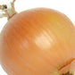 Onions Early Yellow Globe OSC seeds