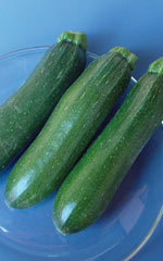 Squash Zuchinni OSC Seed