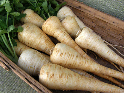 Parsnips English Savour