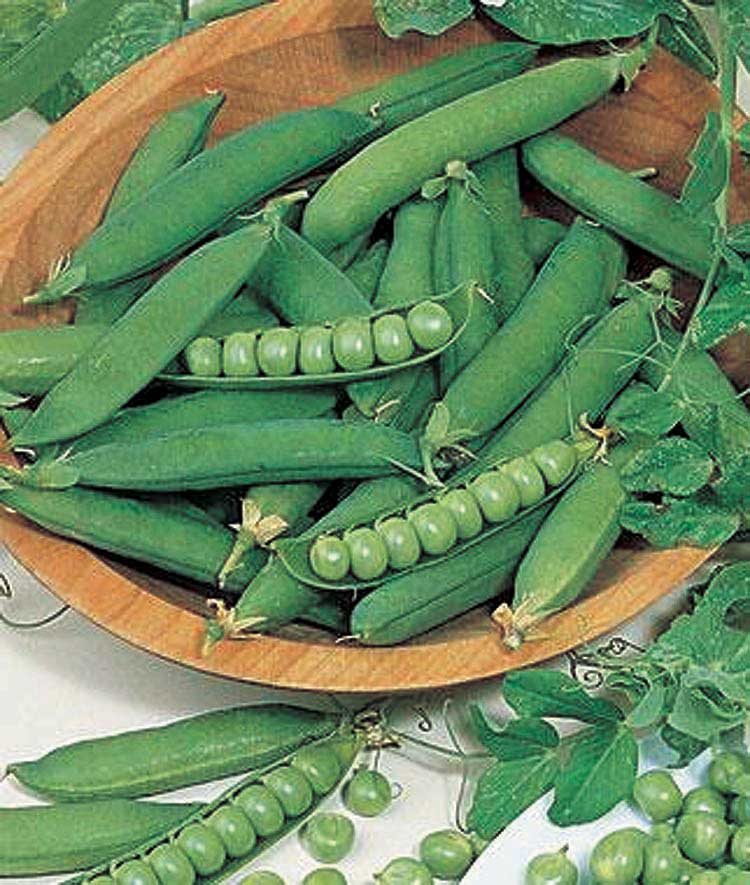 12 Days of Growing - A Gardener's Gift