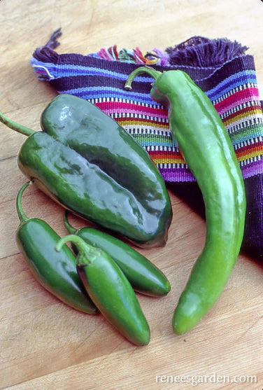 Pepper Southwestern Chile Trio