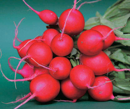 12 Days of Growing - A Gardener's Gift