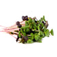 Sprouts Rainbow Radish Seeds 100gm