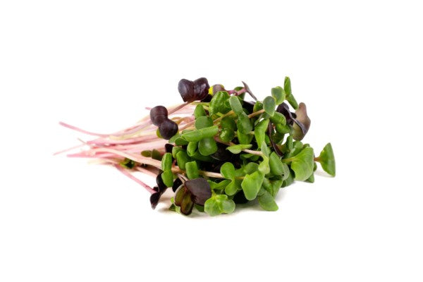 Sprouts Rainbow Radish Seeds 100gm