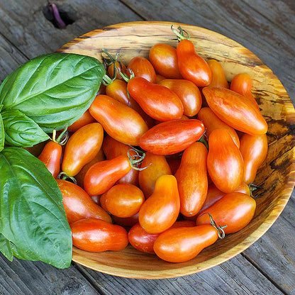 Tomato Prairie Fire Organic