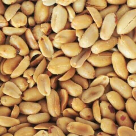 Peanut Valencia OSC Seed