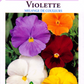 Viola Mixed Colour OSC Seed