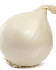 Onion White Sweet Spanish OSC Seed