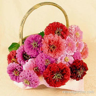 Zinnia Berry Basket