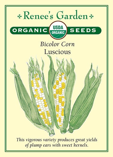 Corn Bicolor Luscious