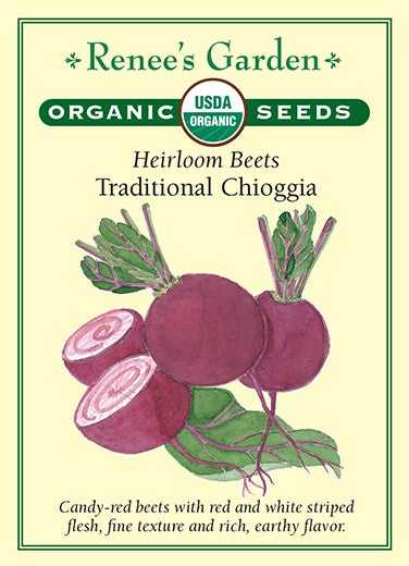 Beet Heirloom Striped Chioggia