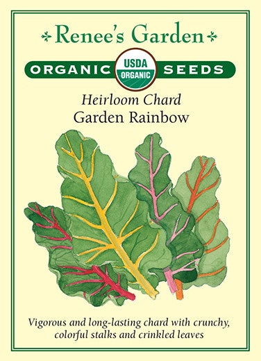 Chard Garden Rainbow
