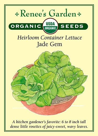 Lettuce Container Jade Gem Organic