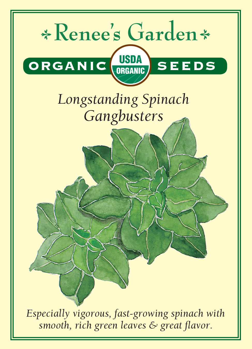 Spinach Longstanding Gangbusters