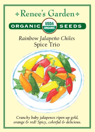 Pepper Jalapeno Rainbow Trio