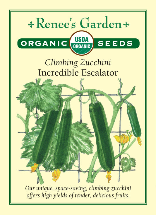 Squash Zucchini Incredible Escalator Organic