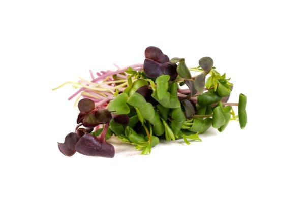 Microgreens Brilliant Blend 125gm