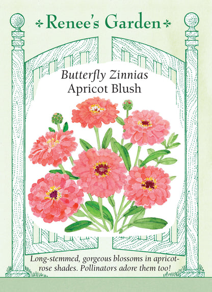 Zinnia Butterfly Apricot Blush