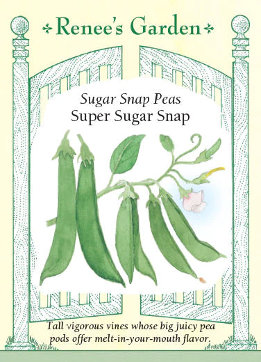 Pea Snap Super Sugar