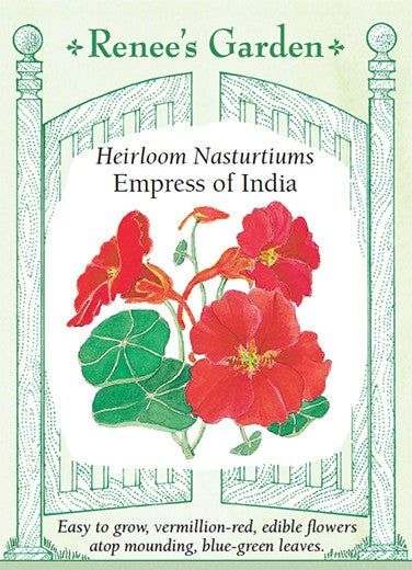 Nasturtium Empress of India