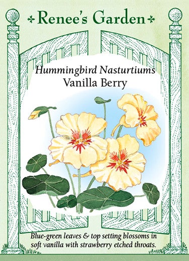 Nasturtium Vanilla Berry