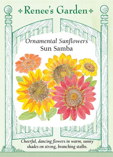 Sunflower Sun Samba Colour Mix