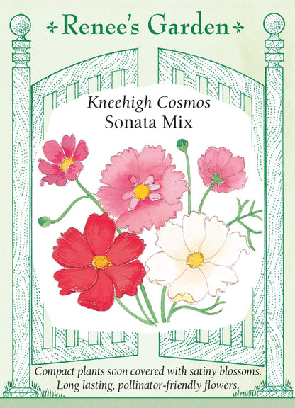 Cosmos Sonata Mix Knee High