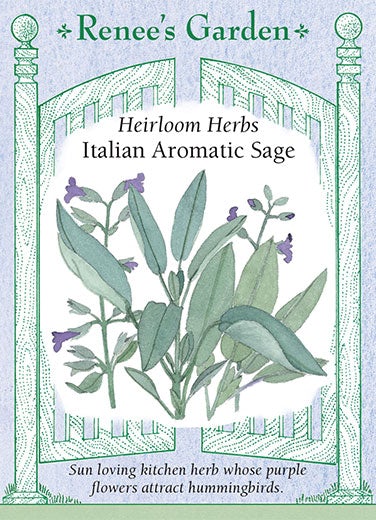 Sage Italian Aromatic