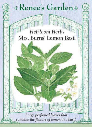 Basil Mrs. Burns Lemon