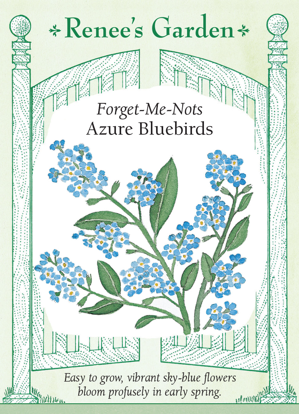 Forget-Me-Nots Azure Bluebirds