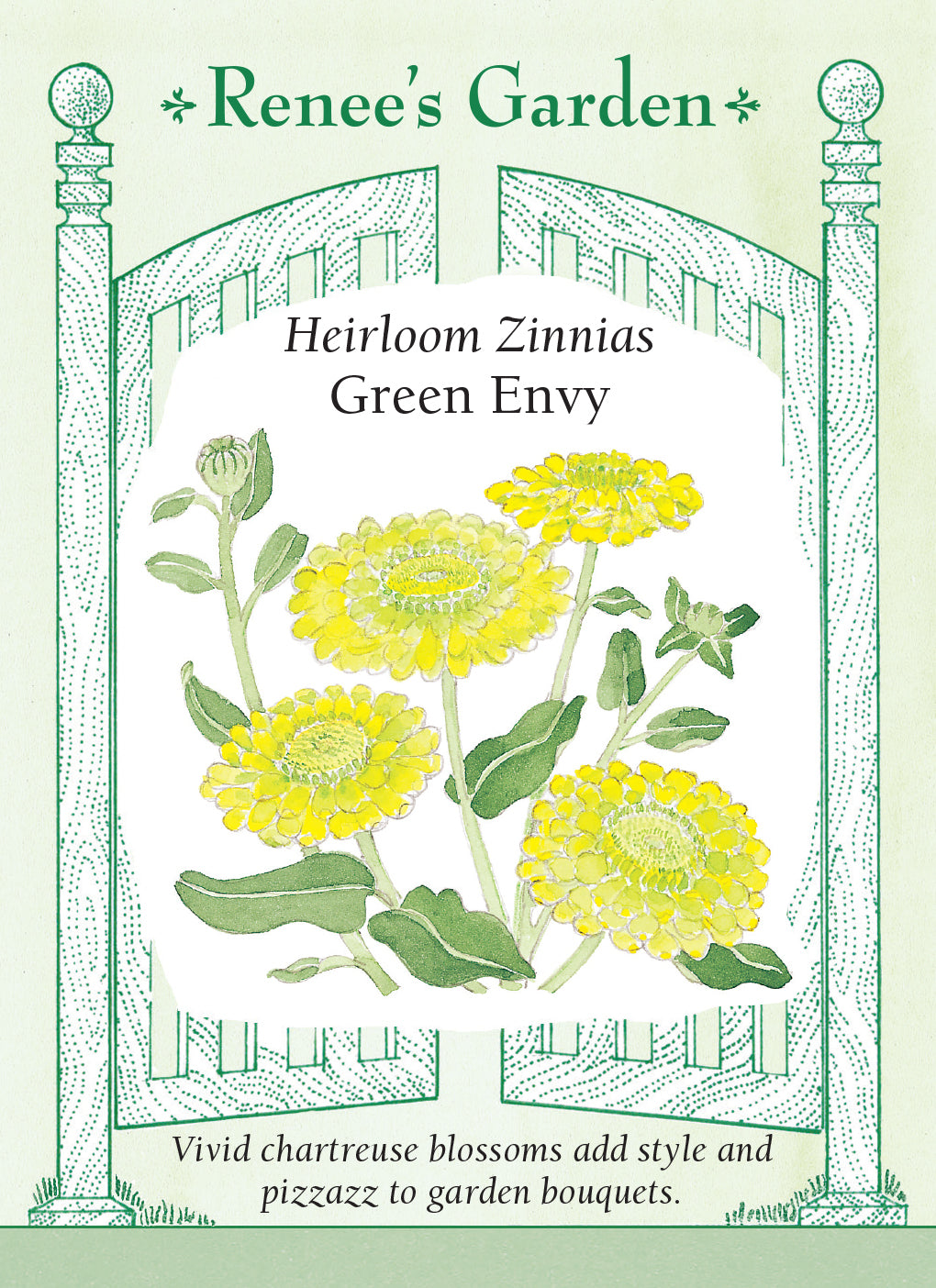 Zinnia Heirloom Green Envy