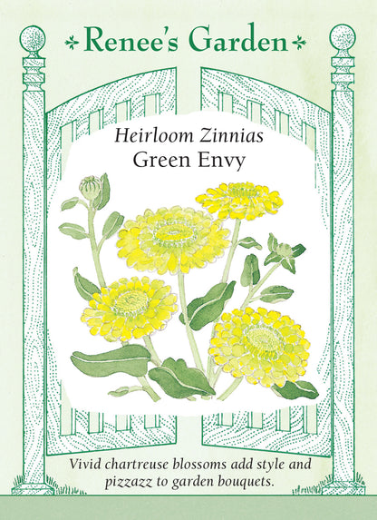 Zinnia Heirloom Green Envy