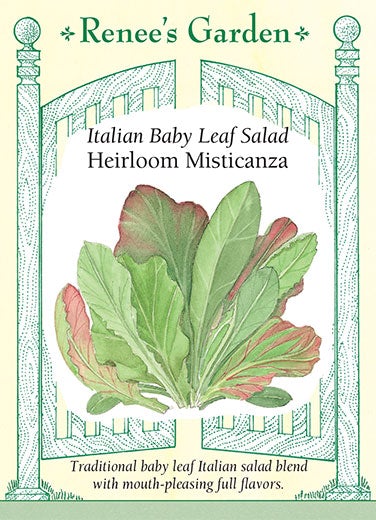 Lettuce Mesclun Italian Misticanza