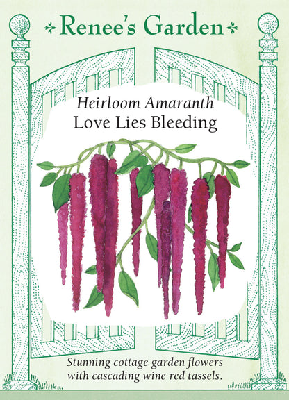 Amaranth Love Lies Bleeding