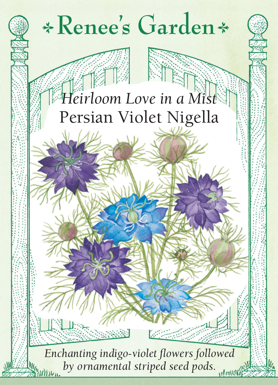 Nigella Persian Violet