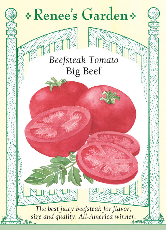 Tomato Big Beef Beefsteak